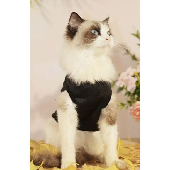 Little Miss Attitude Small‎ T-Shirt NWOT Dog Pet Cat - Picture 3 of 5